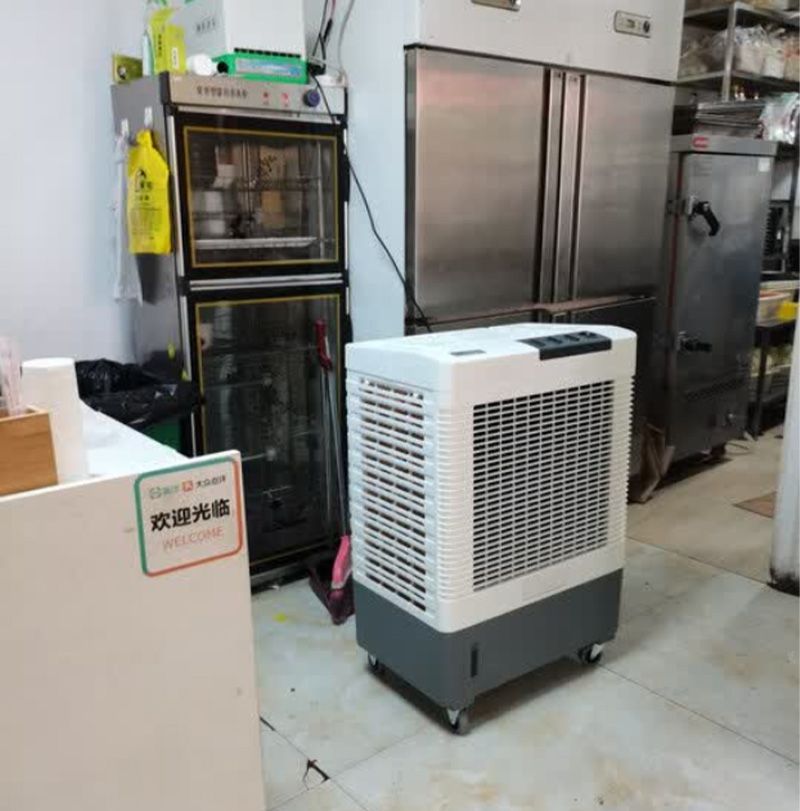 雷豹移动冷风机MFC6000 饭店厨房大排档降温